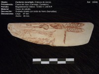 Contorno recortado cabeza de cierva